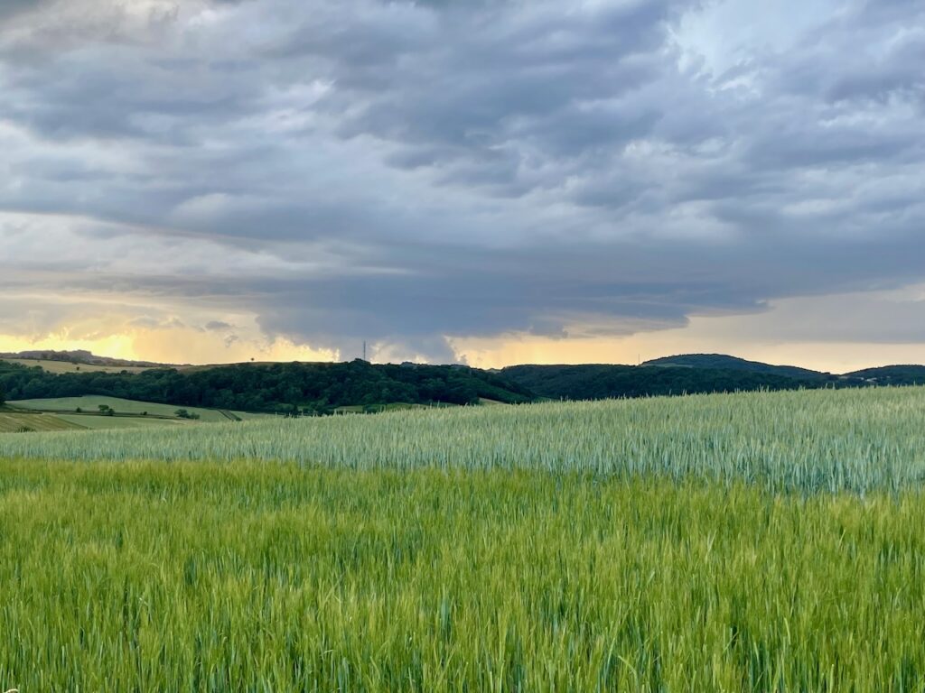 Le terroir de la Brasserie Basalte, Photo 3